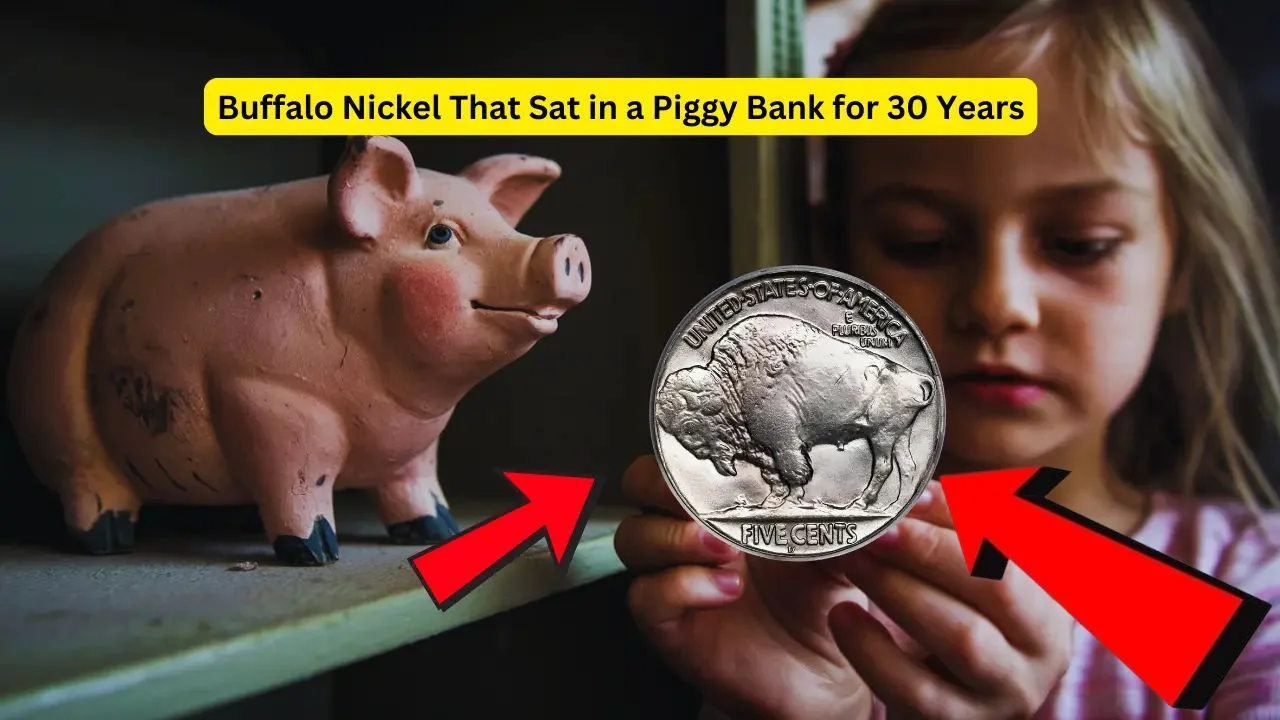 The Buffalo Nickel That Sat in a Piggy Bank for 30 Years