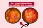 Rare Lincoln Wheat Penny Worth $300K Still Circulating – Check Your Spare Change Today