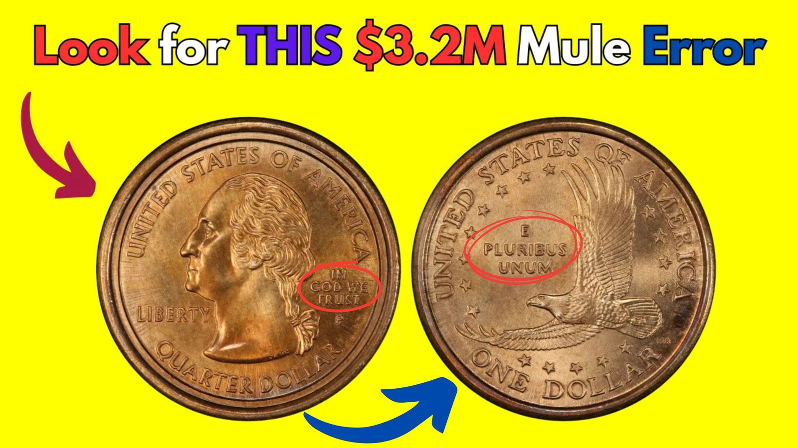 $3.2M Mule Error Sacagawea Dollar with Quarter Reverse Found in Roll